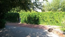 01_Zaunbegruenung_Foto_GmS