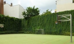 18_Wilder_Wein_Zauneinfriedung_Foto_GmS