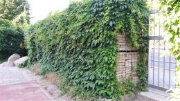 26_begruente_Sicht-_und_Schallschutz_Gabionen_Foto_GmS