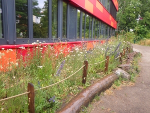 Grüner Schulhof der Brodowin-Grundschule Grüner Schulhof der Brodowin-Grundschule